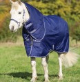 Amigo Hero Pony Plus Medium Atlantic Blue w/Ivory Trim