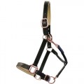 Jeremy & Lord Padded Leather Halter Rose Gold Fittings